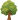 Feuillus